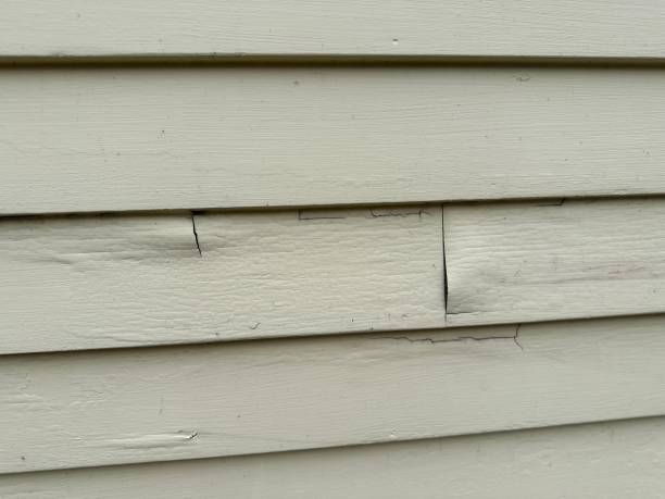 Historical Building Siding Restoration in Coldwater, MS